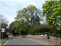 Trees and wall of Larkby, Wonford Road, Exeter