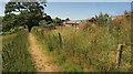 Footpath to Stoke Gabriel