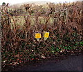 SO2815 : Yellow gas pipeline markers, Llanwenarth Citra, Monmouthshire by Jaggery
