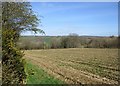 Stubble field near Netherburn