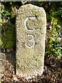 Old Milestone south of Haylands