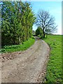 SP2851 : Track to Walton Wood Farm by AJD