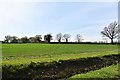 Alburgh: North Lodge Farm