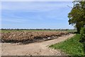 Alburgh, North Lodge Farm: Large heap of horse manure