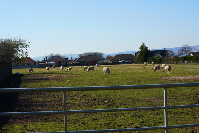 Field, Muirend Road