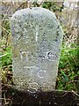 Old Milestone by New Road, Burraton