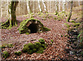 NH4640 : Devil's Well, Eskadale by Craig Wallace