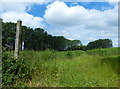 Public footpath near Wood Farm