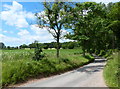 Tag Lane near Wood Farm