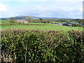 SD5185 : Pasture on Hincaster Hill, Cumbria by Alex Passmore