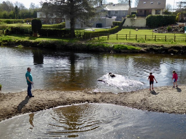 Playing with the dog on the Camowen River