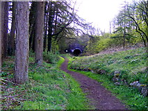 SD5185 : Footpath leading to the East Portal, Hincaster Tunnel, Cumbria by Alex Passmore