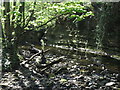NZ3174 : Rocky Outcrop and Retaining Wall, Holywell Dene by Geoff Holland