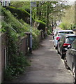 Bus stop sign on the Brynglas Road pavement, Newport