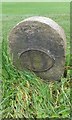 Old Boundary Marker