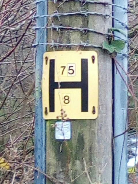 Hydrant sign on telephone pole, Bethesda