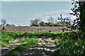 Dickleburgh Moor, Semere Green Farm: Ploughed field