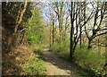 Clyde Walkway near Motherwell