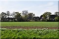 Dickleburgh: Looking across a field to houses in Merlewood