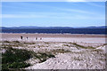 Sand dunes and coast at Nairn West Beach