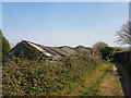 Derelict sheds alongside Dog Lane, Burton Lazars