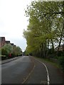 Trees showing fresh green leaves, Gras Lawn, Exeter