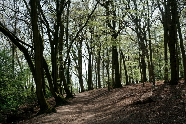 Croham Hurst © Peter Trimming :: Geograph Britain and Ireland