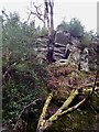 Overhanging sandstone rock formation