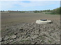 Manhole cover in a field off Nellie Spindler Drive