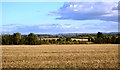 ST5429 : Somerset scenery by N Chadwick