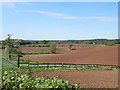 Fields near Doverdale Manor Farm (1)