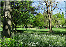 TL4856 : Sunday morning in Cherry Hinton Hall Park by John Sutton