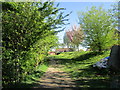 Footpath to Oster Fen Lane