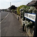 Northbourne: Avebury Avenue