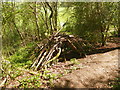 Bushcraft shelter on Ridge Hanger/Strawberry Hanger