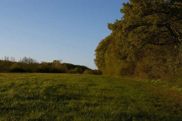 Footpath up the side of Ash Ground, Saxmundham