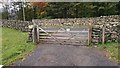 NY2906 : Wooden Gate by John P Reeves