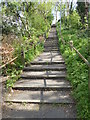 Steps up to Lakedale Road