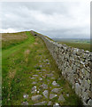 NY7467 : View west along Hadrian's Wall at Winshield Crag by habiloid