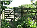 Kissing Gate at North Farm, Murton