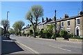 Empty Cambridge: Maids Causeway