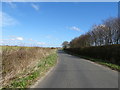 SE6764 : Moor Lane towards Thornton-le-Clay by JThomas