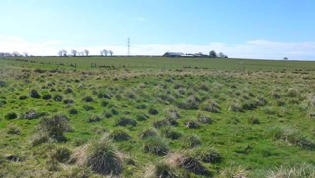 Hareshawhill farm from the Calder Water Wind Farm