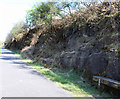 Lochwinnoch Loop Line cycle path