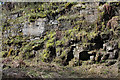 Bedrock by the Lochwinnoch Loop Line cycle path