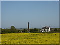 View from a footpath, Faversham