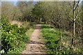 Footpath, Dougalston