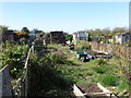 Allotments near Langdale, Monkseaton