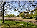 Recovering Grassland, Bowring Park