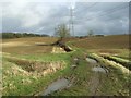 Footpath And Pylons